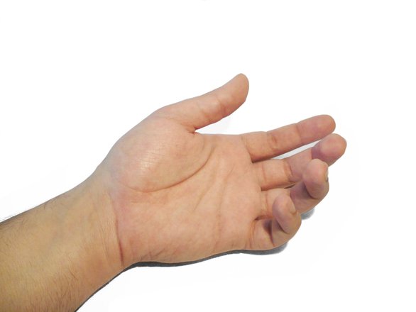 hand-in-action-open-hand-6-1431465